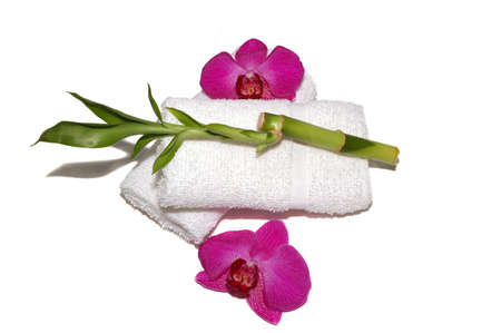 orchids, towels, and bamboo plant on white backgroundの写真素材