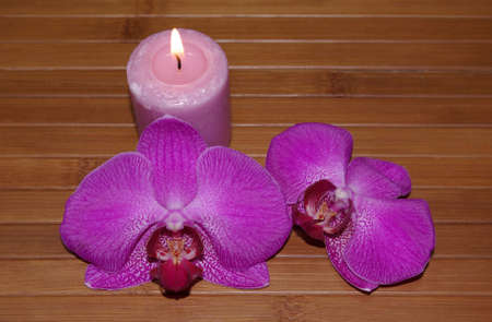 Pink orchids and candleの写真素材
