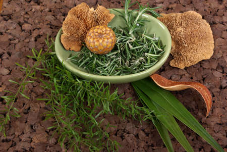 Herbs and mushroom on cork matの写真素材