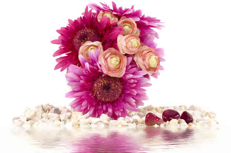 Colorful daisies and pebbles with water reflectionの写真素材