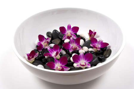 Orchids on pebblesの写真素材