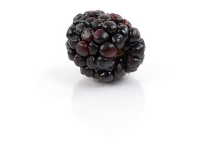 Organic blackberryの写真素材