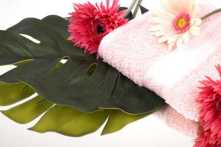 Cotton towel, pink daisies, and leafの写真素材
