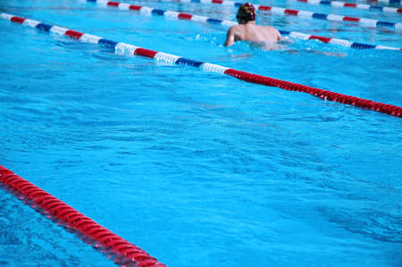 A swimmer in a pool                     の写真素材