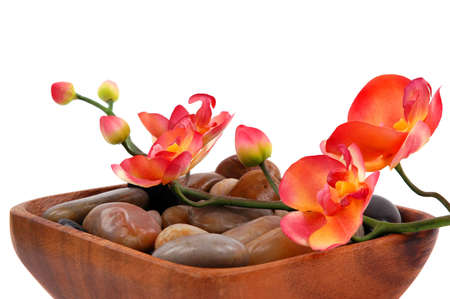  Orchid and pebbles                の写真素材