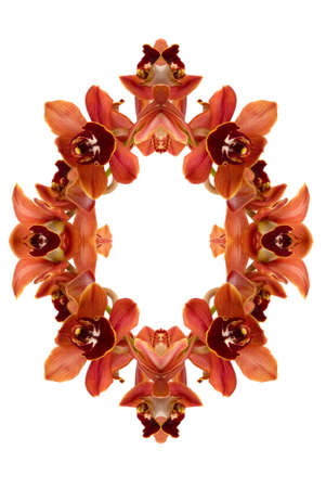 A beautiful fresh orchid abstract wreath with copy spaceの写真素材
