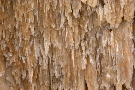 Gypsum crystal backgroundの写真素材