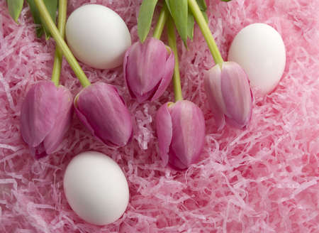 Eater tulips and eggsの写真素材