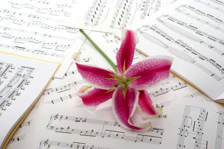 Musical notes and lily flowerの写真素材