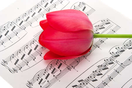 Musical notes and tulip の写真素材