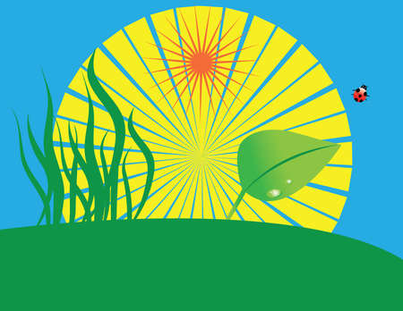 Grass, leaf, lady bug and sun(vector)のイラスト素材