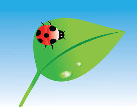 Cute ladybug and a leaf with water drops on itのイラスト素材