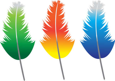 Colorful Feathersのイラスト素材