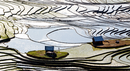 Beautiful terraced rice field in Lao cai province in Vietnam の写真素材
