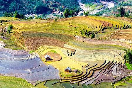 Beautiful terraced rice field in Lao cai province in Vietnam の写真素材