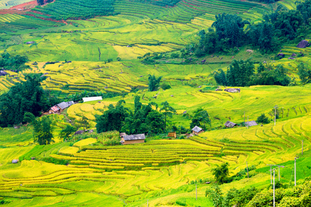 Beautiful terraced rice field in Lao cai province in Vietnam の写真素材