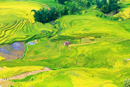 Beautiful terraced rice field in Lao cai province in Vietnam の写真素材