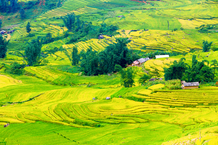 Beautiful terraced rice field in Lao cai province in Vietnam の写真素材