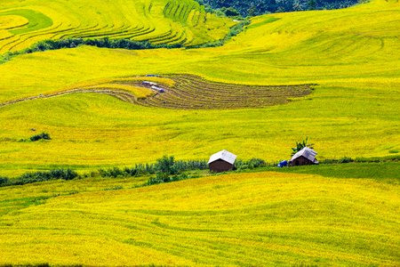 Beautiful terraced rice field in Lao cai province in Vietnam の写真素材