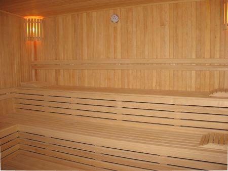 Steam room with shelves, lighting, skinned tree.の写真素材