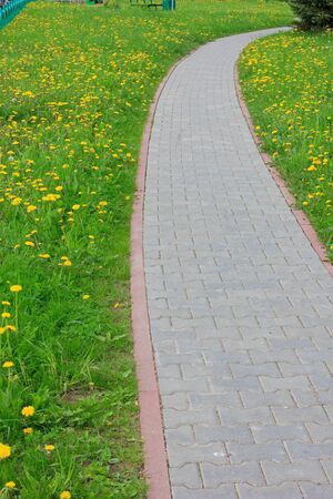 Path with bend on spring meadow の写真素材
