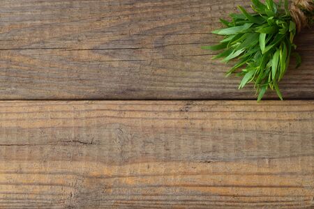 Bunch of fresh tarragon on a wooden background with a space for noteの写真素材