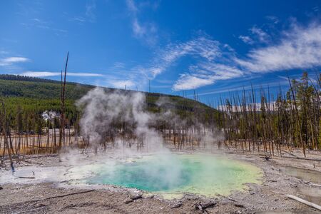 yellowstone national parkの写真素材