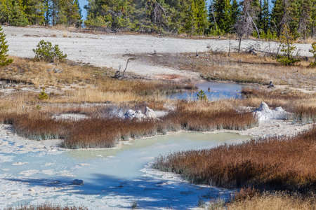 yellowstone national park