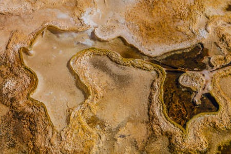 yellowstone national parkの写真素材