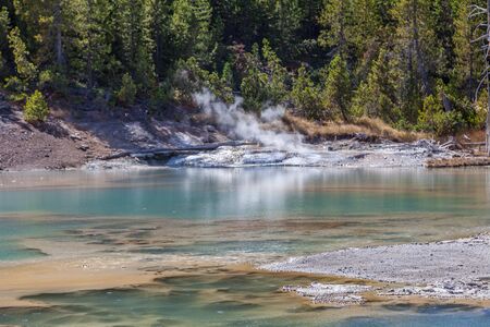 yellowstone national park