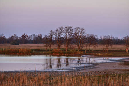 Sunset in the Neusiedler See National Parkの写真素材