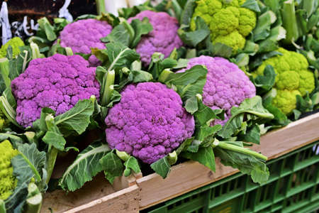 Close-up of vegetables at the Naschmarkt in Vienna, Austriaの写真素材