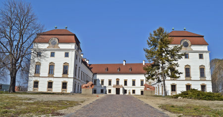 View of the palace of the town of Papa, Hungaryのeditorial素材