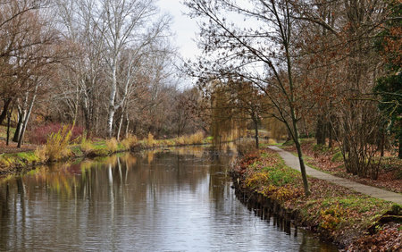 Maros backwater near Szeged Hungary on a winter dayの写真素材