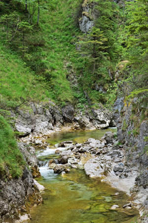 Oetschergraben gorge near Mariazell in Austriaの写真素材