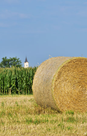 Straw bale close up with church tower in the background