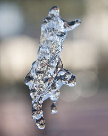 Exotic animal like water form emanating from fountainの写真素材