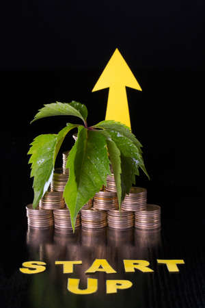 Coin stacks, arrow pointing up and a 'Start up' inscriptionの写真素材