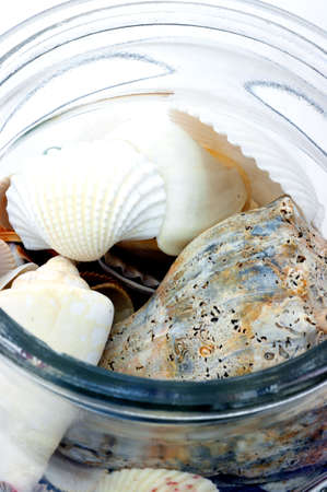 Close up view of seashells in an open glass jar. の写真素材