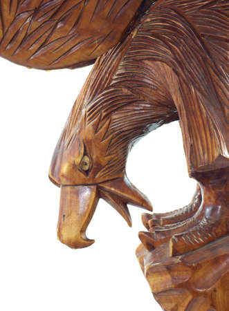 Eagle の写真素材