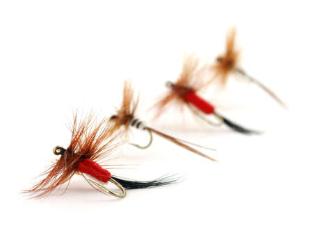 Four trout flies の写真素材