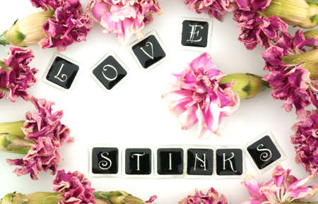 Love stinks の写真素材