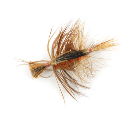 Colorful trout fly の写真素材