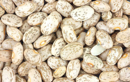 A close view of the common pinto bean.