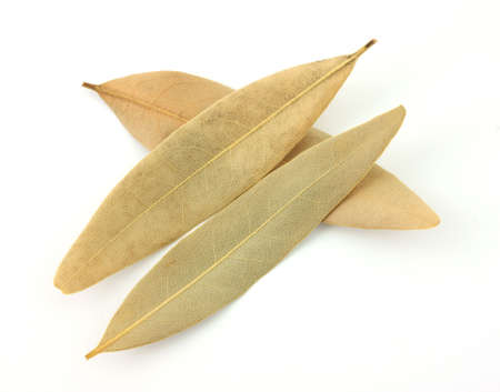 Three dried bay leaves used for seasoning in cooking. の写真素材