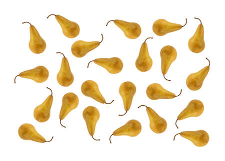 A lot of colorfully arranged Bosc pears against a white background. 