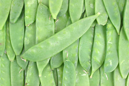 Fresh snow peas