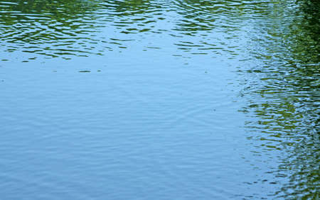The reflection of trees in the water with ripples on a light windy day.