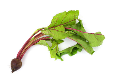 A beet green with a single small beet on a white background.