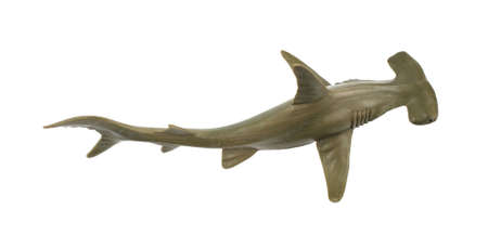 A toy hammerhead shark on a white background.の写真素材